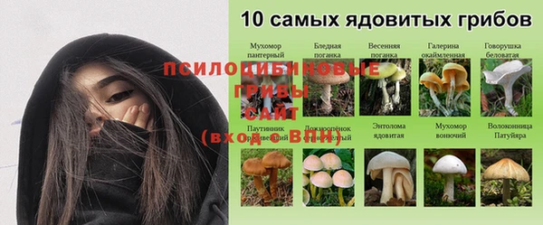 скорость Арсеньев