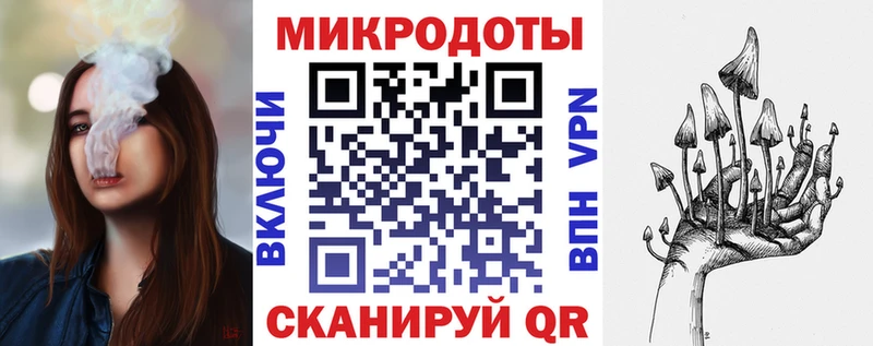 Псилоцибиновые грибы Psilocybe  Кологрив 